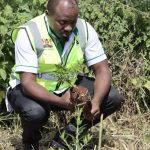 TWWDA Partners in Tree Planting Ahead of World Environment Day
