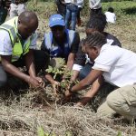 Rooted in Resilience: TWWDA’s Tree Planting Drive Cultivates Hope in Nyeri